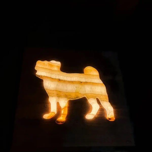 DESIGN PROJECT ANIMALS