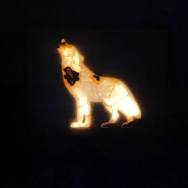DESIGN PROJECT ANIMALS