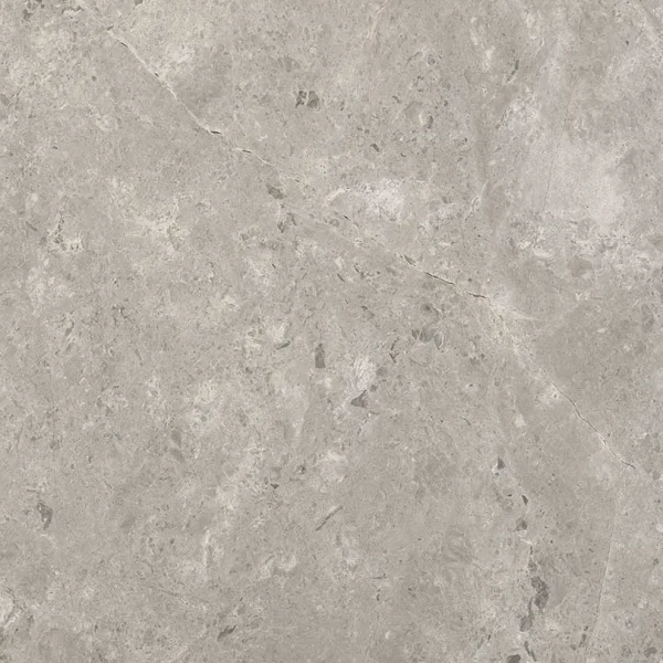 Tundra Grey