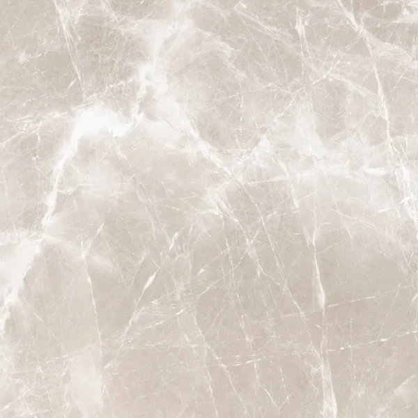 Alibaba Grey Light