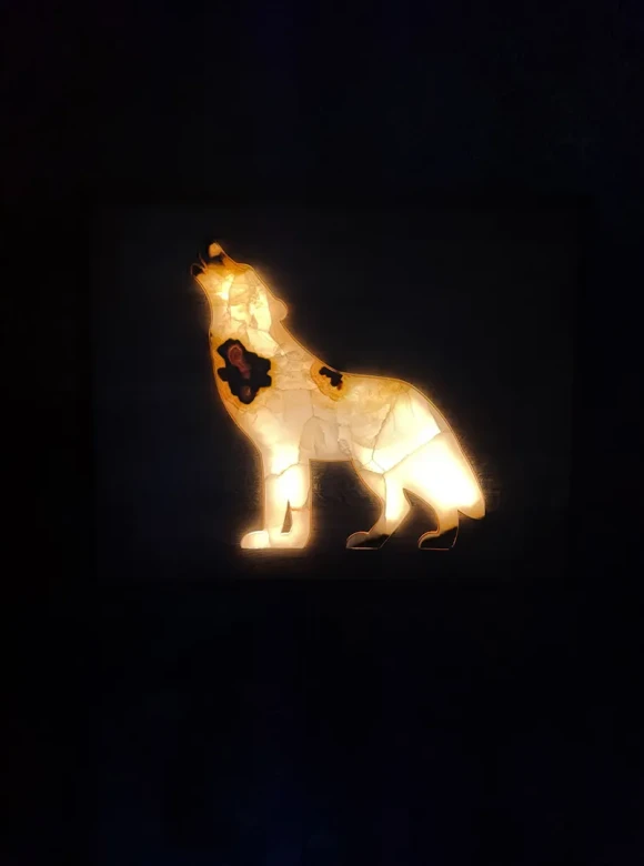 DESIGN PROJECT ANIMALS